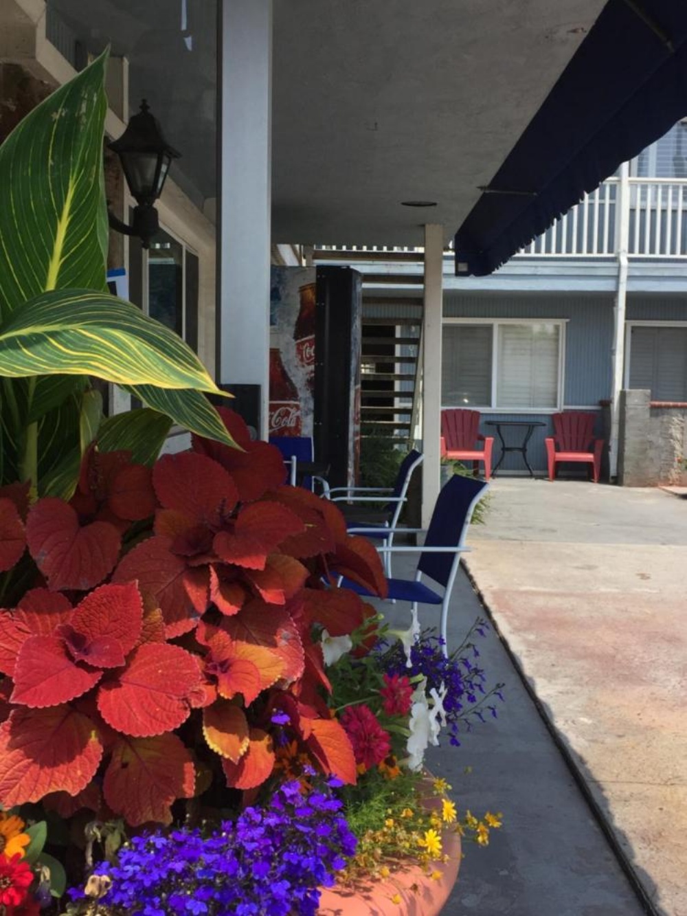 The Shores Inn